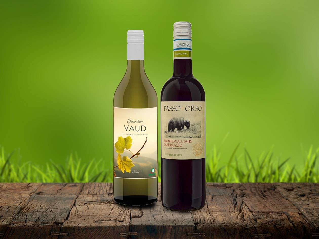 Zwei Weinflaschen, eine Weißwein- und eine Rotweinflasche, auf einem Holztisch vor grünem Hintergrund.